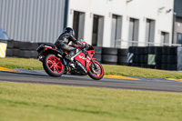 PJ-Motorsport-2019;anglesey-no-limits-trackday;anglesey-photographs;anglesey-trackday-photographs;enduro-digital-images;event-digital-images;eventdigitalimages;no-limits-trackdays;peter-wileman-photography;racing-digital-images;trac-mon;trackday-digital-images;trackday-photos;ty-croes